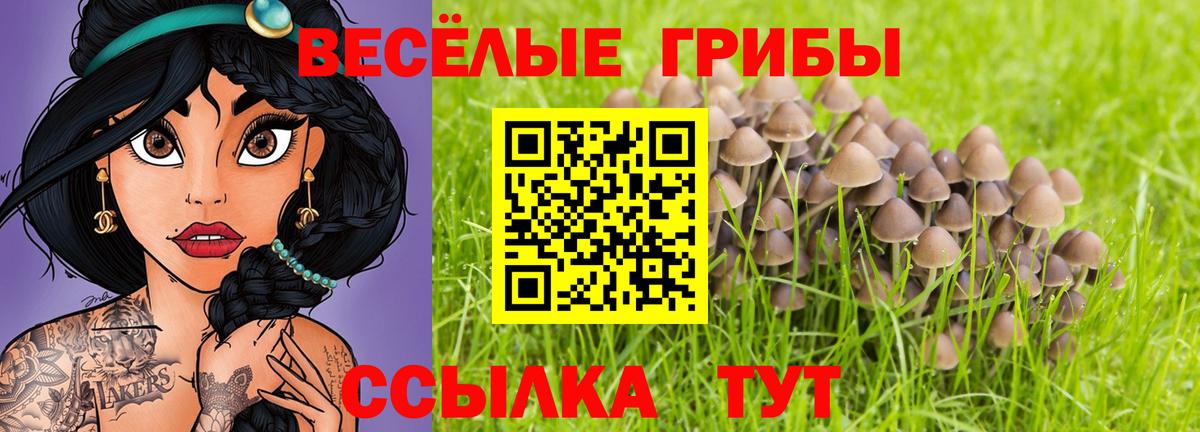 Среднеуральск  Псилоцибиновые грибы Magic Shrooms  как найти закладки  Вход с VPN 