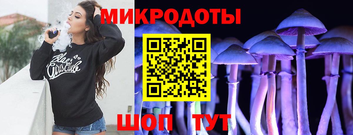 Галлюциногенные грибы Psilocybine cubensis Среднеуральск